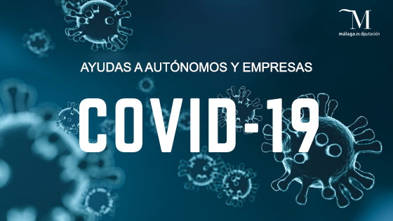 oct 2020 ayudas diputacion
